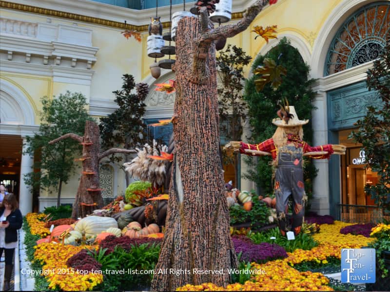 Fall Harvest display at the Bellagio Gardens