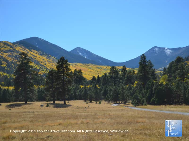 Gorgeous fall colors covering the San Francisco Peaks in Flagstaff, Arizona