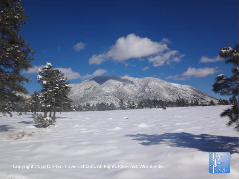 Snow covering the mountains at Buffalo park in Flagstaff