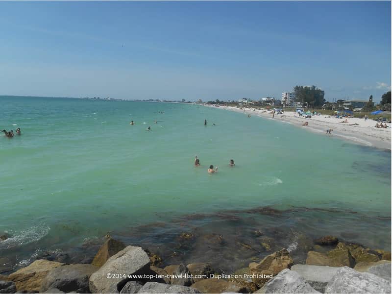 Swimming in the warm waters of Florida's Gulf Coast