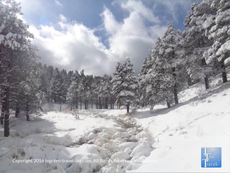 A beautiful winter day along the Pumphouse Wash trail in Kachina Village AZ