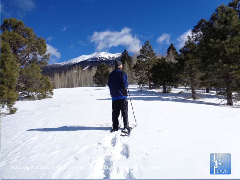 Snowshoeing the Aspen Nature Loop in Flagstaff