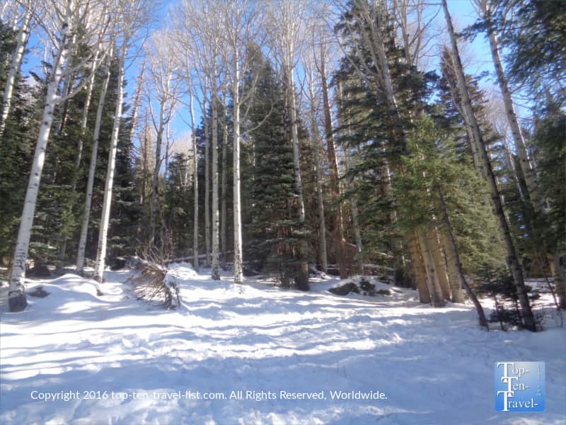 Kachina Trail in Flagstaff AZ in winter