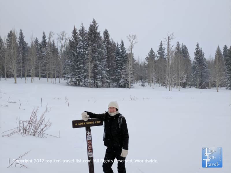 Snow along the Aspen Nature Loop at Arizona Snowbowl in Flagstaff