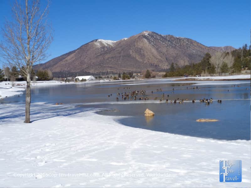 Beautiful views of Mt Elden in Flagstaff, Arizona
