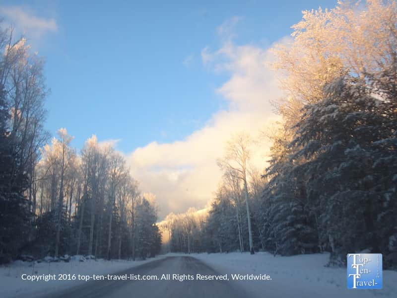 Winter views along Snowbowl Rd in Flagstaff, Arizona