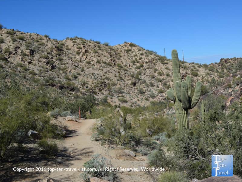 The peaceful Kiwanis Trail at South Mountain Park in Phoenix, Arizona