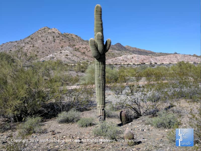 Hiking at Dreamy Draw Recreation area in Phoenix