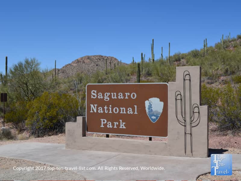Saguaro National Park in Tucson AZ