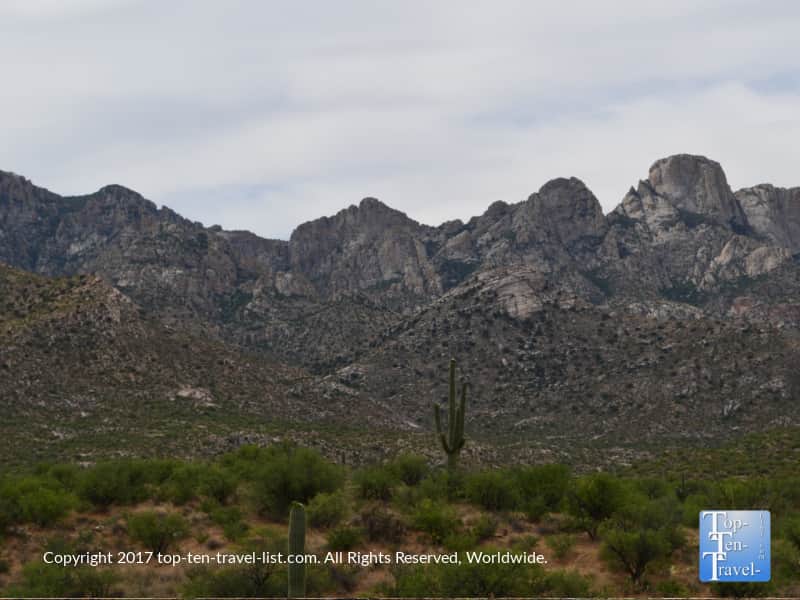 Beautiful cactus and mountain views at Catalina State Park in Oro Valley 