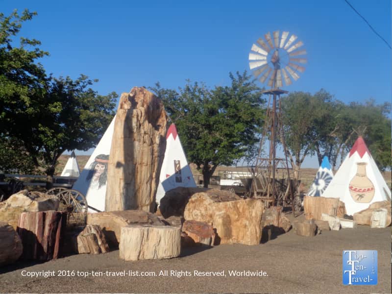 "The world's largest petrified tree" at Geronimo Trading Post in Northern Arizona 