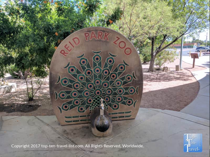 Reid Park Zoo in Tucson Arizona