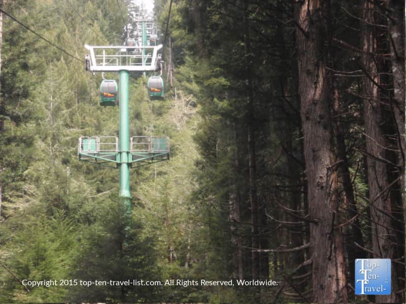 Trees of Mystery gondola ride above the coastal redwoods in Northern California