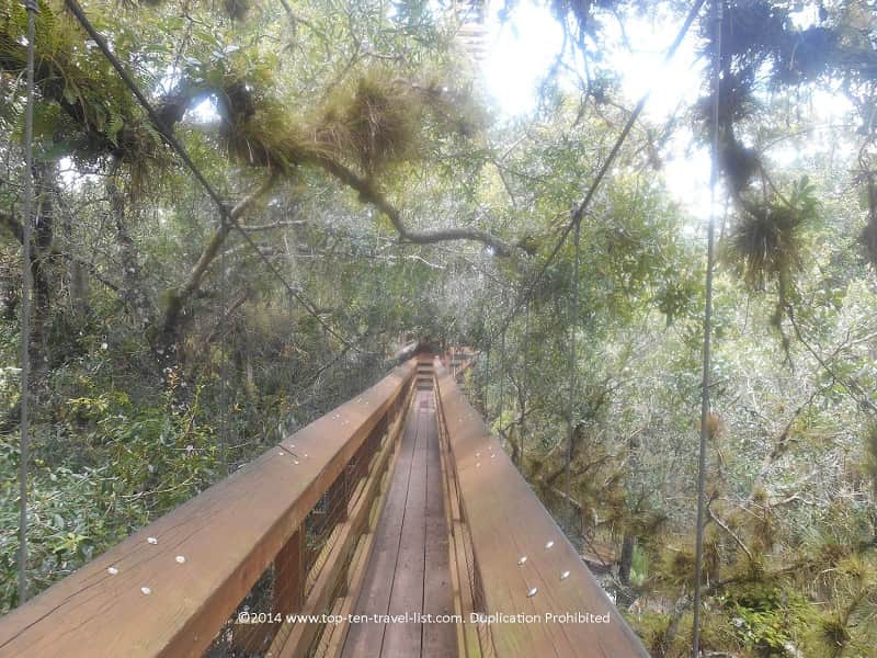 Treetop canopy walk at Myakka River State Park in Sarasota, Florida 