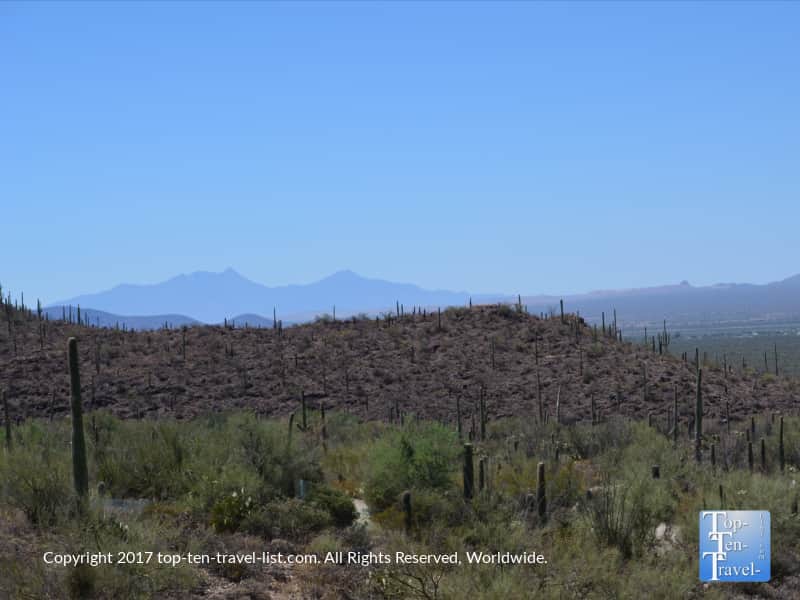 Scenic overlook at the Arizona Sonoran Desert Museum in Tucson