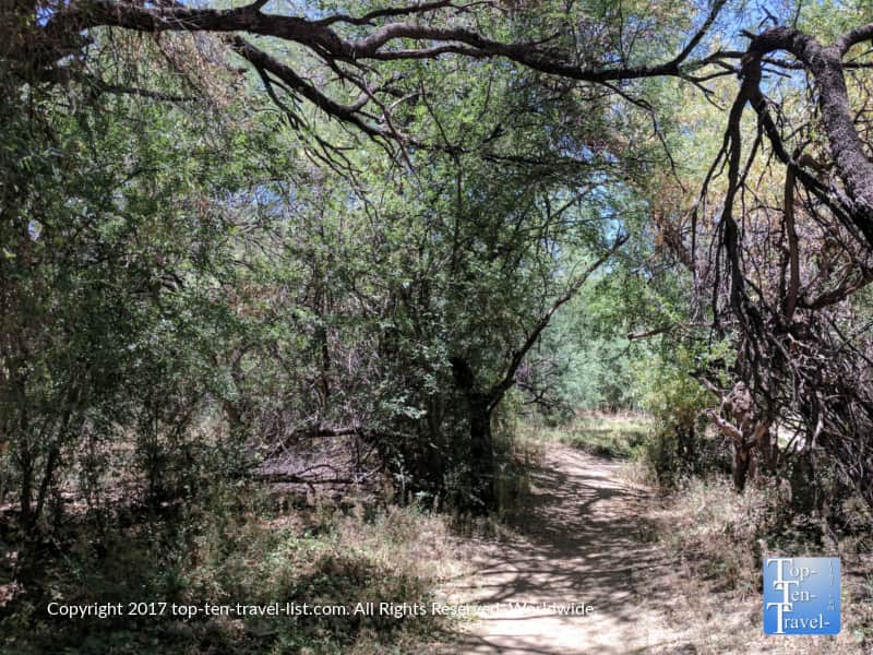 The shady Anza trail in Tubac