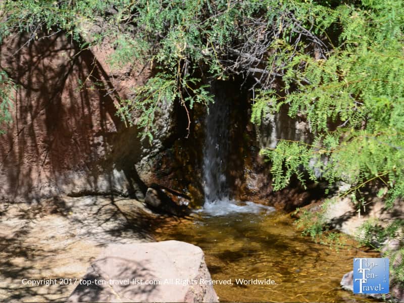 Small waterfall at the Arizona Sonora Museum in Tucson
