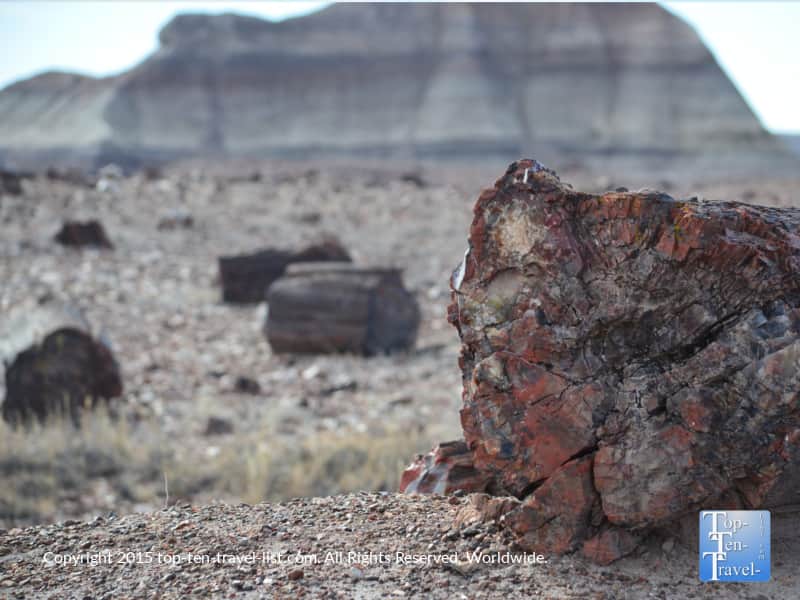 Crystal Forest at Petrified National Forest in Northern Arizona 