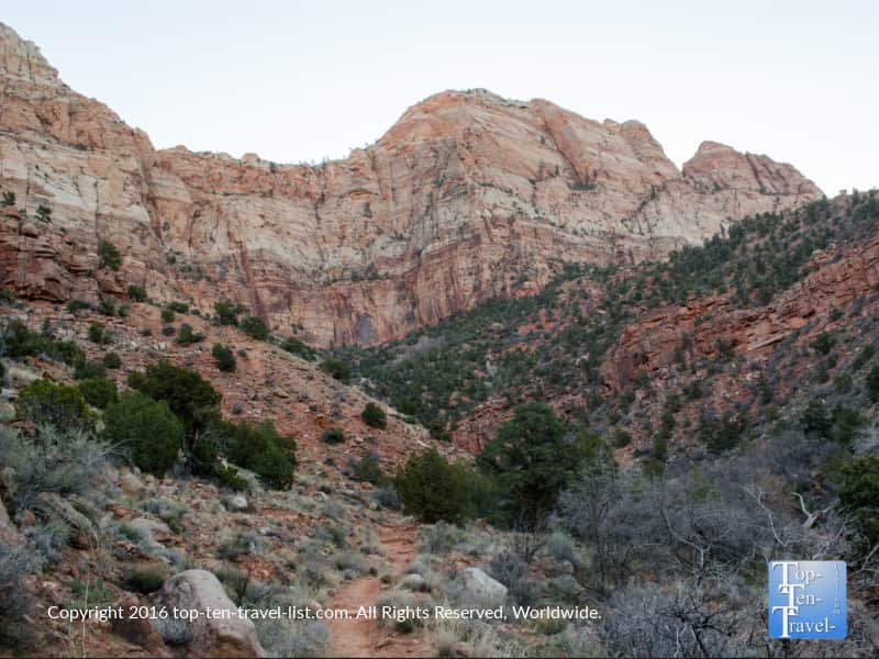 Gorgeous views of the red rocks along the Watchman Trail at Zion National Park