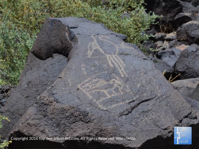 Petroglyphs at Petroglyph National Monument in Albuquerque NM