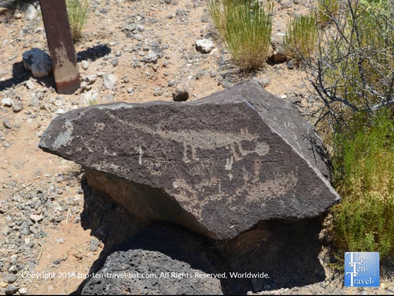 Interesting petroglyphs at Petroglyph National Monument in Albuquerque, New Mexico
