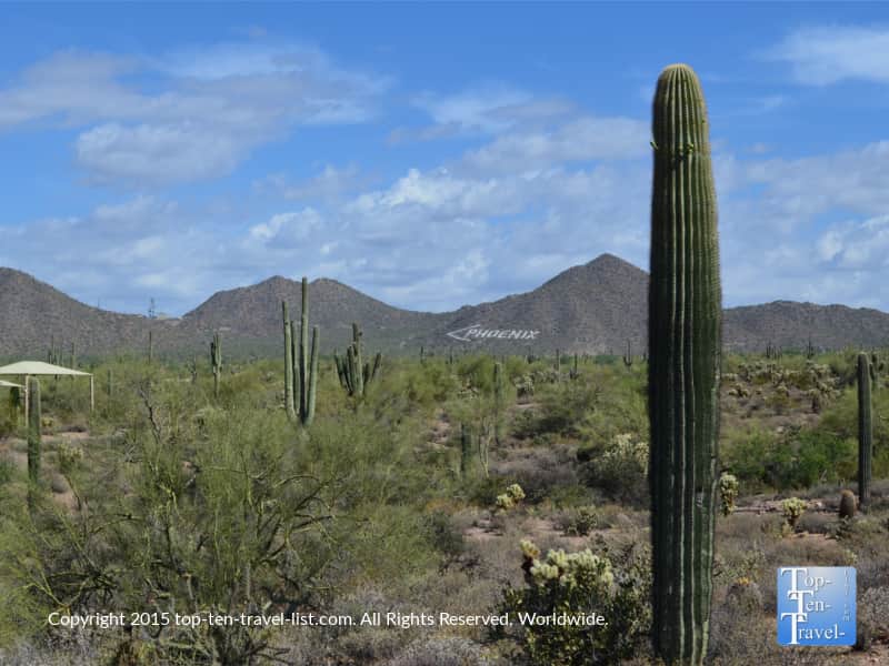 Hiking at Usery Mountain in Mesa, Arizona 