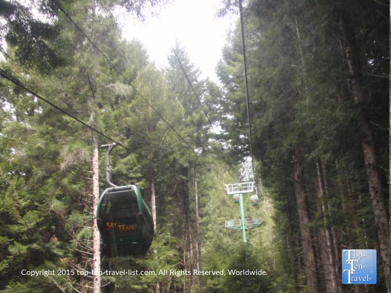 Trees of Mystery gondola ride