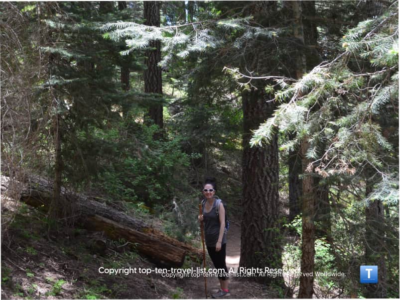 HIking the Meadows trail at Mount Lemmon