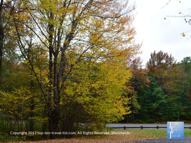 Pretty fall foliage at Enders State Forest in Granby, Connecticut