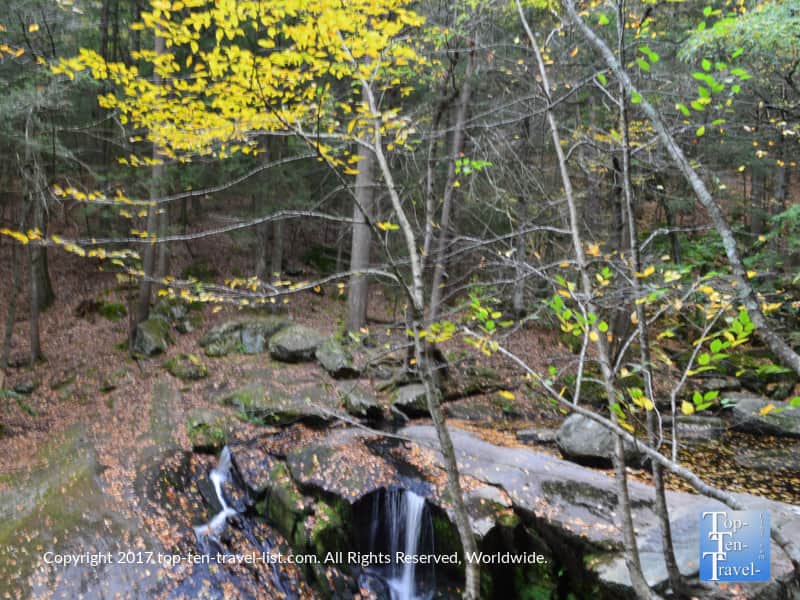 Fall foliage in Enders State Forest