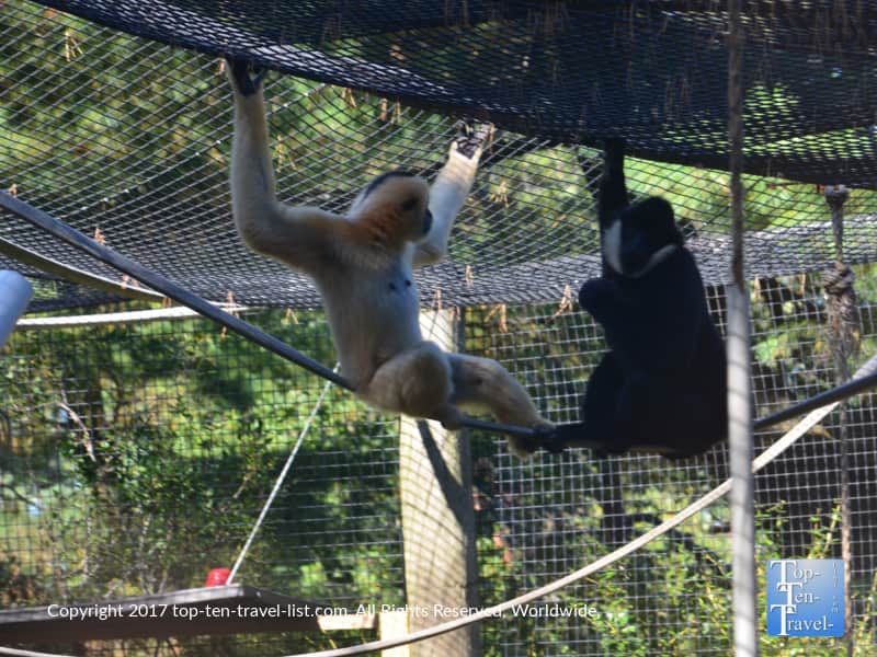 the Roger Williams Park Zoo in Providence