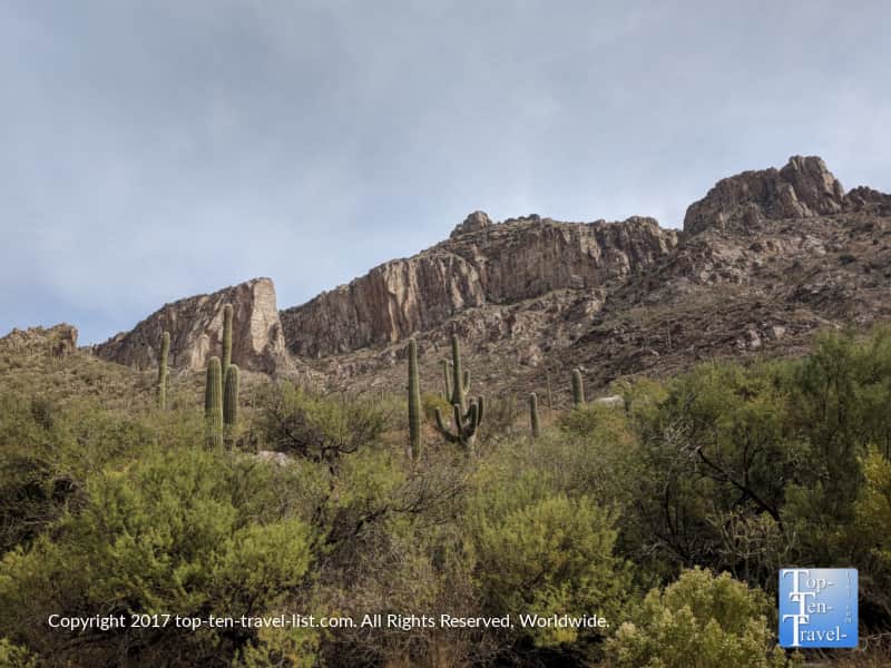 Pretty views of the mountains and Saguaro cacti at Sabino Canyon in Tucson
