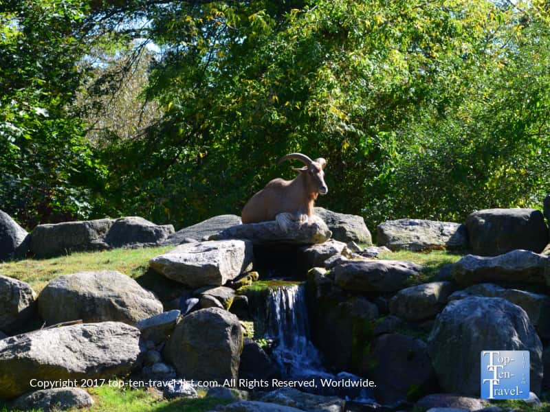 Roger Williams Park Zoo in Providence, Rhode Island
