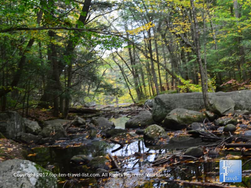 Pretty stream views along the Enders Falls trail in Connecticut