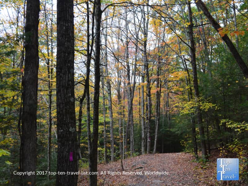 The beautiful Enders Falls Connecticut trail in autumn