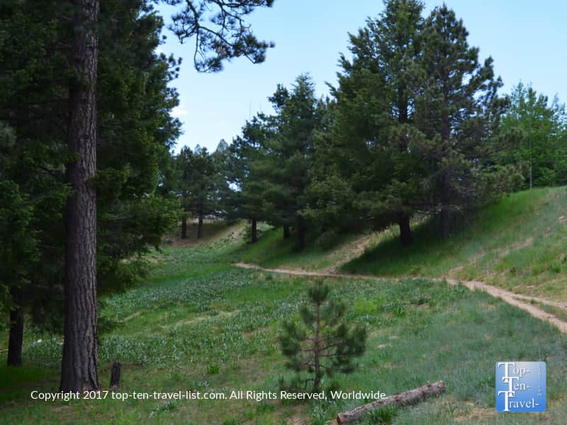 The Meadow Trail on Mt Lemmon