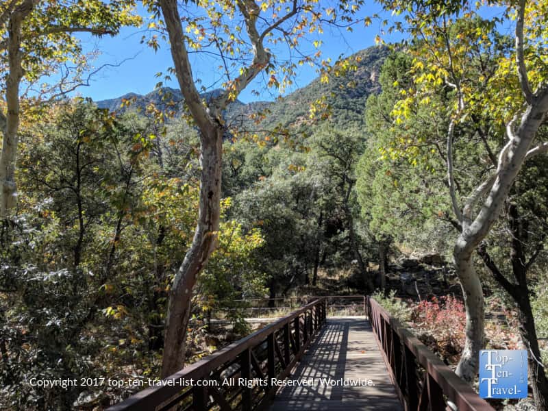 Madera Canyon - a peaceful nature oasis in Southern Arizona
