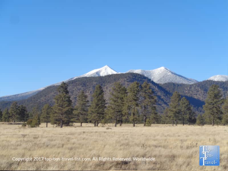 Pretty mountain scenery at Buffalo Park in Flagstaff, Arizona