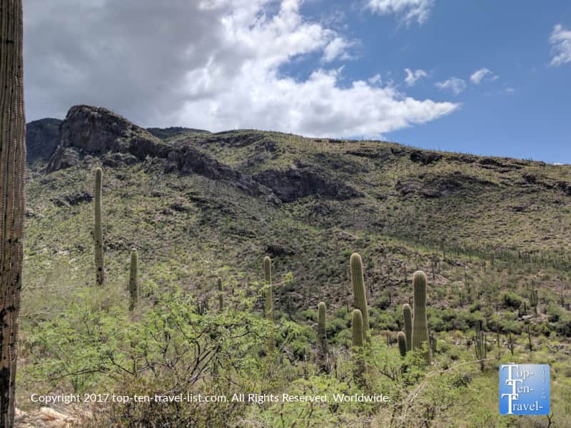 Gorgeous desert scenery from the Pima Canyon trail in Tucson