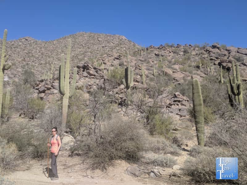 Hiking the Wild Burro trail at the Ritz Carlton at Dove Mountain in Marana, Arizona