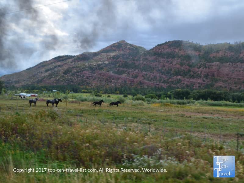 Beautiful views of the countryside seen from the Durango & Silverton Narrow Gauge Railroad