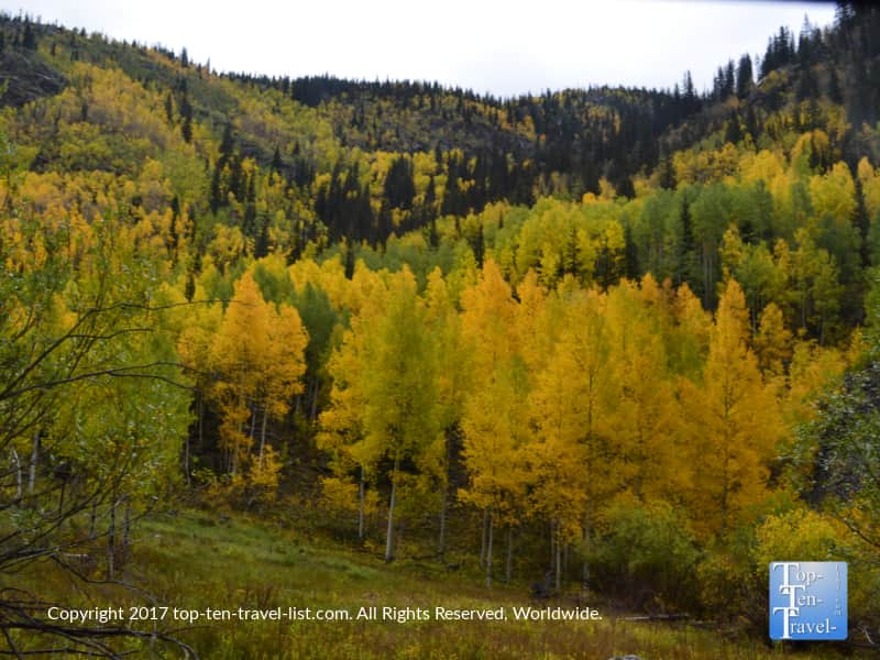 Stunning fall foliage along the Durango & Silverton Narrow Gauge Railroad