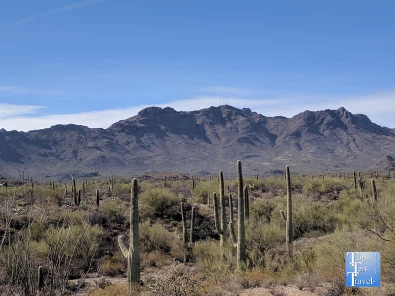 Scenic trail at the Sweetwater Preserve in Tucson, Arizona