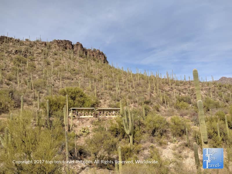 Tram tour at Sabino Canyon in Tucson, Arizona