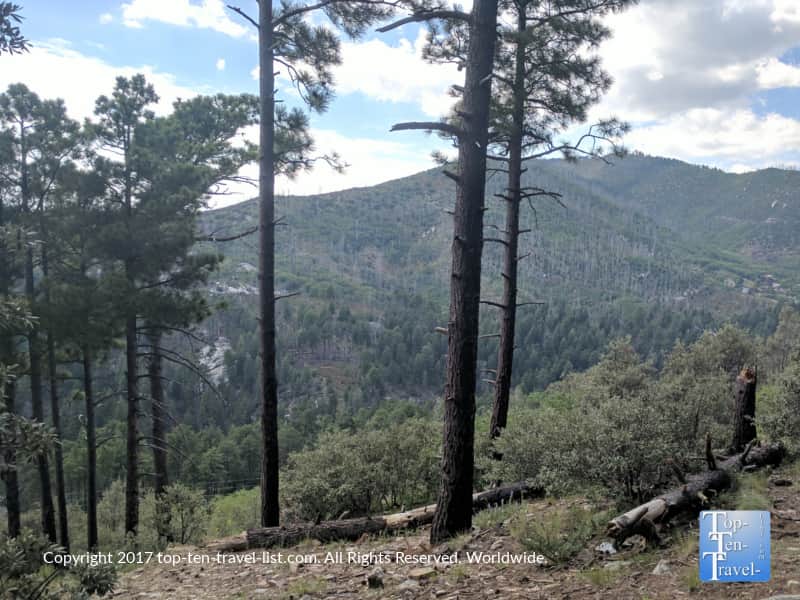 Pretty mountain views along the Marshall Gulch trail at Mt. Lemmon