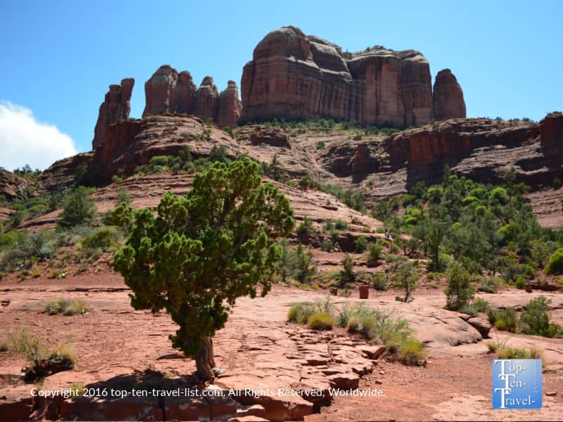 Cathedral Rock in Sedona, Arizona 