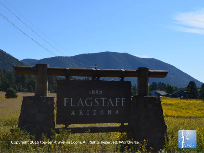 Flagstaff, Arizona summer wildflowers