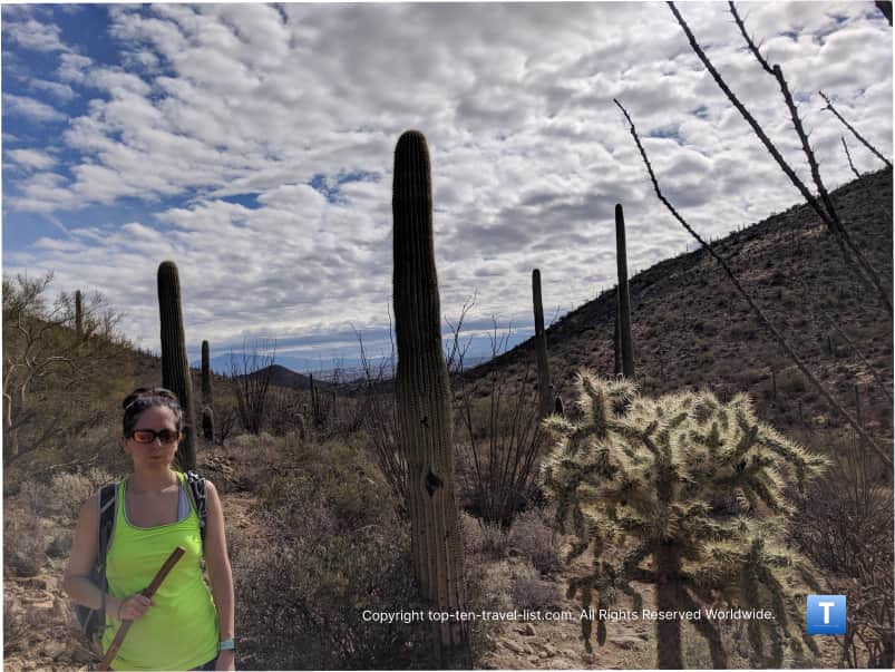 Hiking at Saguaro National Park in Tucson