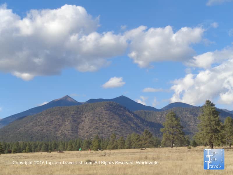 Serene mountain views at Buffalo Park in Flagstaff, Arizona 