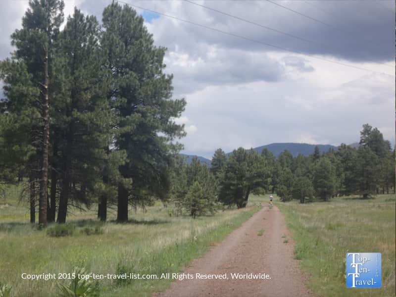 Fort Tuthill Park bike path in Flagstaff, Arizona